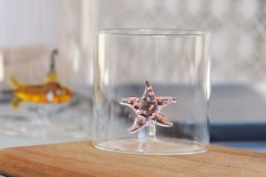 Стакан Морская звезда, 0,25 л. WD Lifestyle
